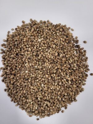 Hampfrø  1 kg