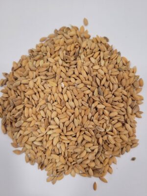 Paddy ris, 1 kg